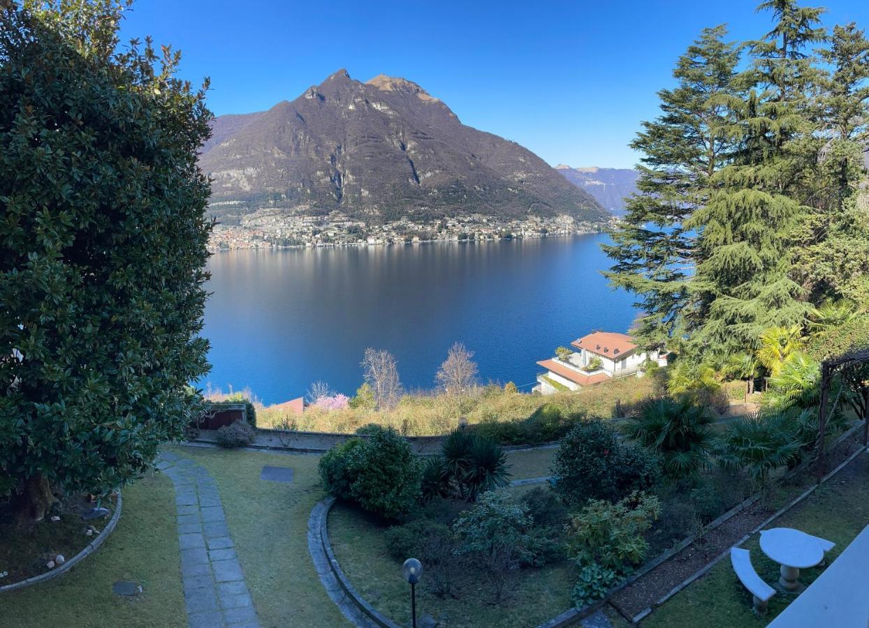Lake Como Villa Ines Junior Apartment Faggeto Lario Dış mekan fotoğraf
